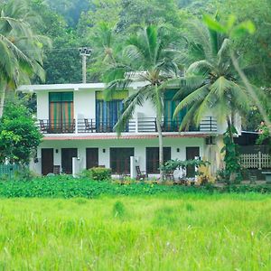 Paddy Field View Resort